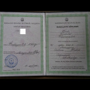 Bakalavr diplomu