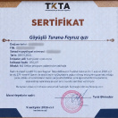 MS Office paketindən istifadə